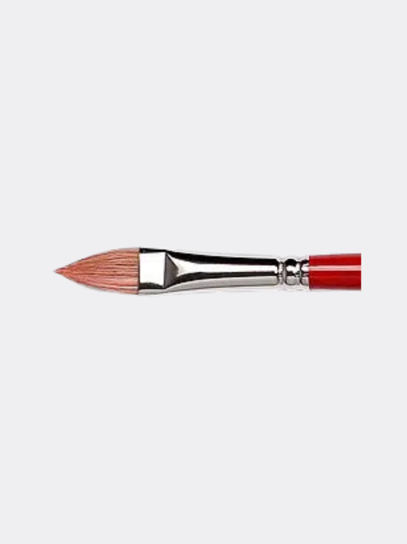 Pennello Pelo Bue Extra 980 (Tintoretto)