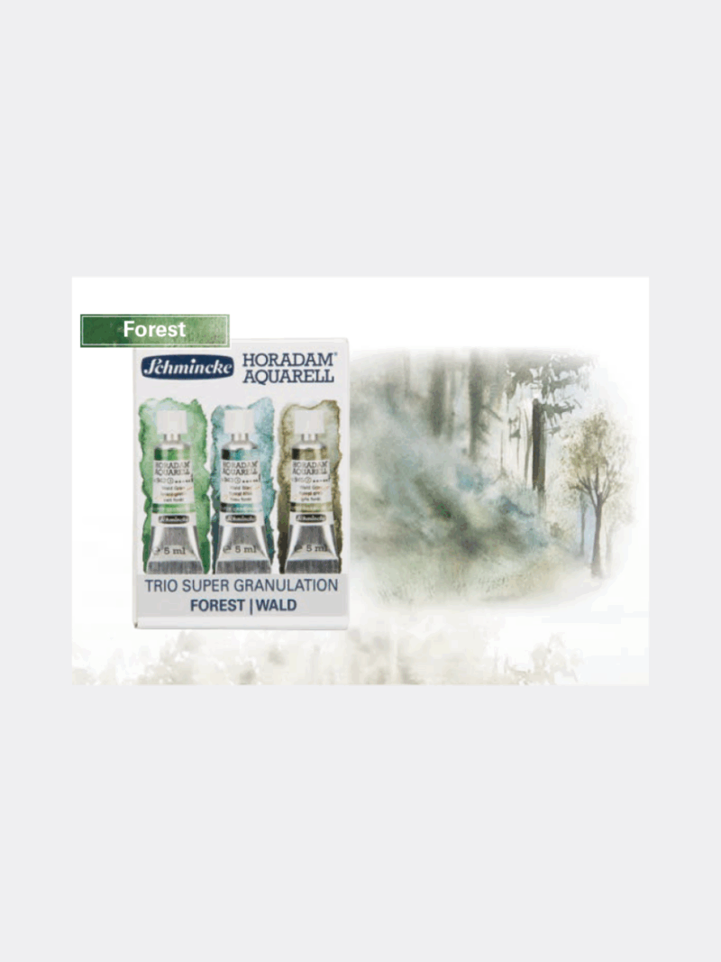 Set Forest (Schmincke)