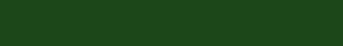 Pennarello Acrilico Molotow One4All 2mm (Molotow) - 145 futuro verde