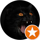 Marco Piazza profile picture